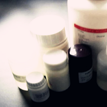 胰蛋白酶-瓊脂糖凝膠 4B