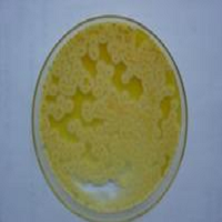 LB固體培養基粉劑