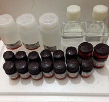 25%甲酸組織脫鈣液（5%硝酸）