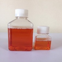 標準豚鼠血清（無菌過濾、熱滅活）