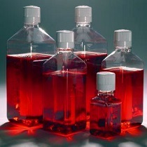 標準小鼠血清（無菌過濾、熱滅活）