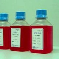 標準雞血清（無菌過濾、熱滅活）