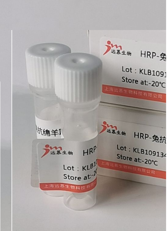 堿性磷酸酶（AP）標記的兔抗小鼠IgG H&L